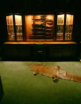 Locally Amish Custom Made Gun Cabinet Wall Unit Full View with Lights on